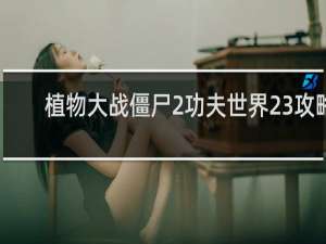 植物大战僵尸2功夫世界23攻略