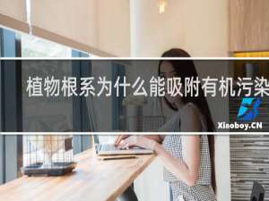 植物根系为什么能吸附有机污染物