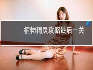 植物精灵攻略最后一关