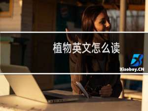 植物英文怎么读