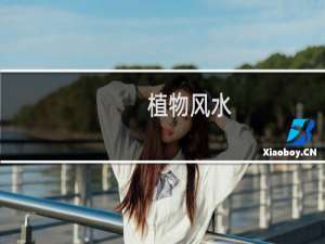 植物风水：鹅掌楸的栽培方法及注意事项