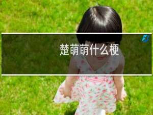楚萌萌什么梗