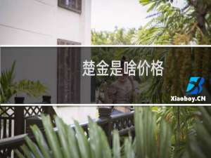 楚金是啥价格