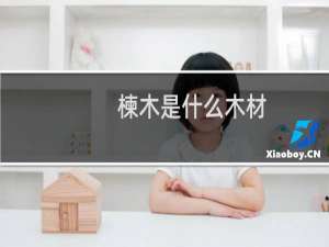 楝木是什么木材