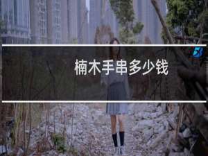 楠木手串多少钱