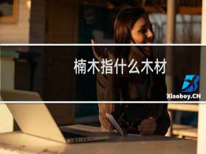 楠木指什么木材