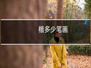 楷多少笔画