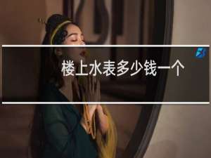 楼上水表多少钱一个