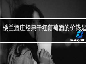 楼兰酒庄经典干红葡萄酒的价钱是多少