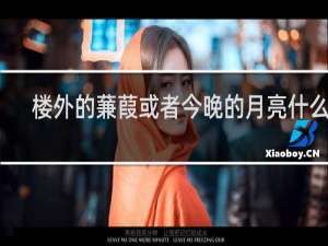 楼外的蒹葭或者今晚的月亮什么梗，楼外的蒹葭或者今晚的月亮是什么意思？什么梗