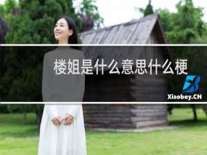 楼姐是什么意思什么梗