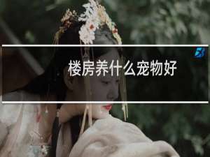 楼房养什么宠物好