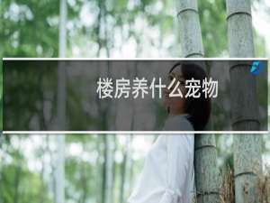 楼房养什么宠物