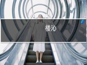楼沁