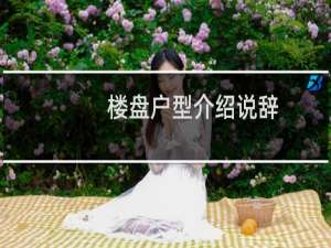 楼盘户型介绍说辞