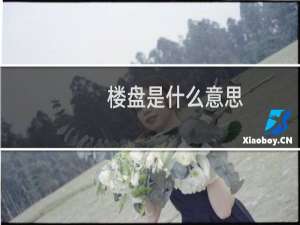 楼盘是什么意思