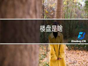 楼盘是啥
