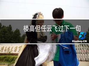 楼高但任云飞过下一句（楼高但任云飞过）