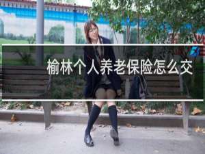 榆林个人养老保险怎么交