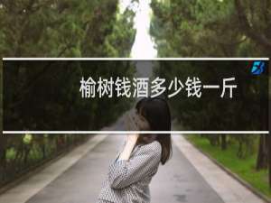 榆树钱酒多少钱一斤