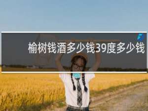 榆树钱酒多少钱39度多少钱