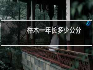 榉木一年长多少公分