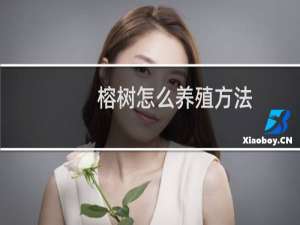 榕树怎么养殖方法