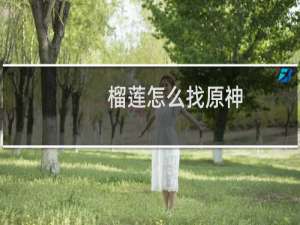 榴莲怎么找原神
