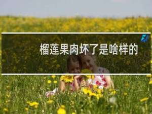 榴莲果肉坏了是啥样的