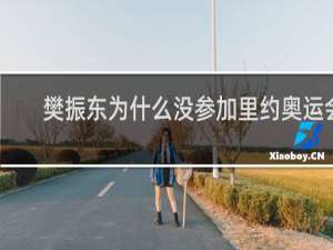 樊振东为什么没参加里约奥运会