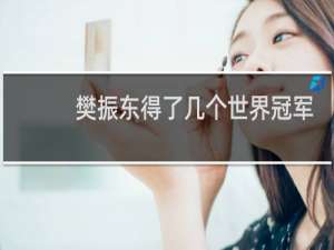 樊振东得了几个世界冠军