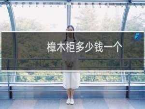 樟木柜多少钱一个