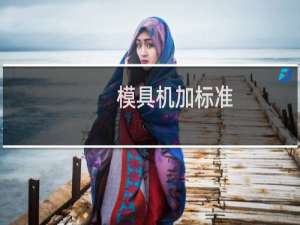 模具机加标准