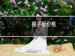 模子板价格