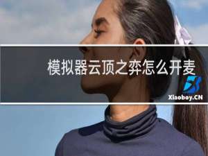 模拟器云顶之弈怎么开麦
