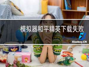 模拟器和平精英下载失败怎么回事