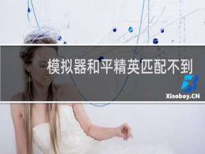 模拟器和平精英匹配不到人怎么办
