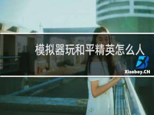 模拟器玩和平精英怎么人脸识别