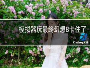 模拟器玩最终幻想8卡住了