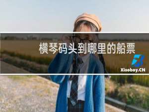 横琴码头到哪里的船票
