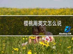 樱桃用英文怎么说