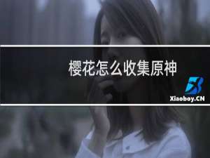 樱花怎么收集原神