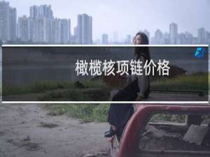 橄榄核项链价格