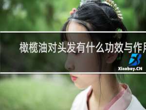 橄榄油对头发有什么功效与作用