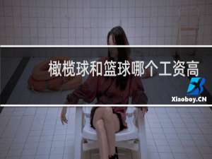 橄榄球和篮球哪个工资高