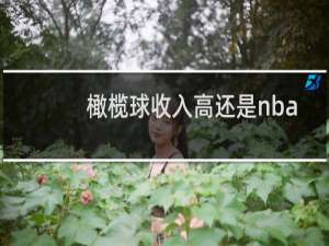 橄榄球收入高还是nba收入高