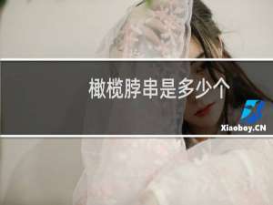 橄榄脖串是多少个