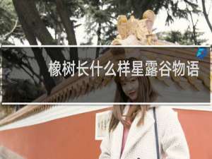 橡树长什么样星露谷物语