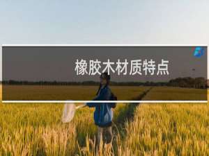 橡胶木材质特点