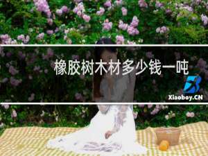 橡胶树木材多少钱一吨